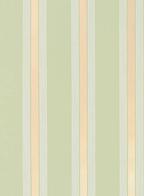Osborne & Little Carta da parati Manetti Stripe - Moss
