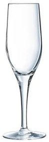 Calice da champagne Chef &amp; Sommelier Trasparente Vetro (19 cl)