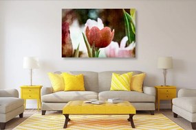 Quadro su tela – Prato di tulipani in stile retrò