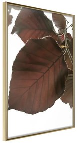 Poster  Burgundy Tilia Leaf  Cornice Quadri Cornice d'oro, Larghezza x Altezza Home decor 40x60