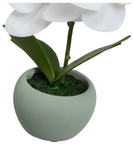 Piante artificiali in set da 3 (altezza 15 cm) Orchid - Casa Selección