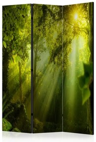 Paravento  In a Secret Forest II [Room Dividers]