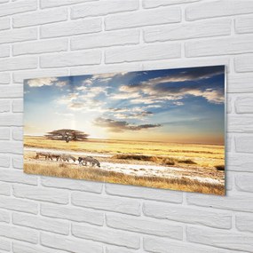 Quadro acrilico Albero di nuvole di zebra 100x50 cm