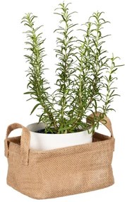 WENKO 64470100 - Cestino JUNA 20x15 cm marrone