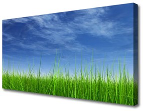 Quadro stampa su tela Cielo, erba, natura 100x50 cm
