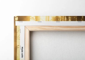 Quadro su tela – Foresta inondata di sole