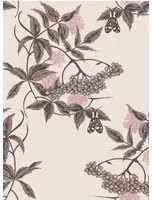 Ailanto Carta da parati Sambuco - Coffee & Pink