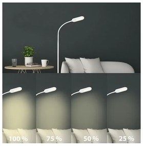 Briloner 1297-016 - Lampada da terra dimmerabile a LED LED/8W/230V