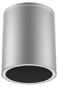 Applique da soffitto Cilindrica PAR30 IP54 in Alluminio e Vetro - Grigia