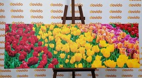 Stampa su tela – Giardino pieno di tulipani