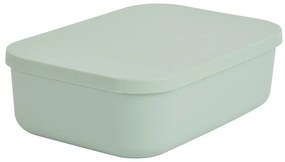 Scatola con coperchio in verde chiaro in plastica 24x18x8 cm – Homéa