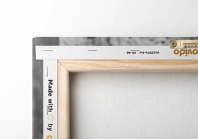 Quadro su tela – Rose vintage in bianco e nero