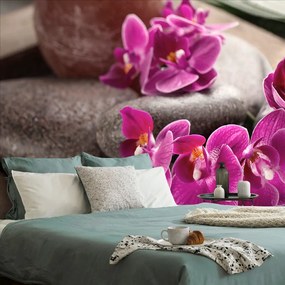 Carta da parati – Splendida orchidea e pietre zen