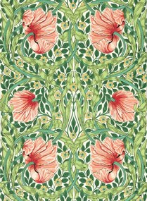 Morris & Co Carta da parati Pimpernel - Shamrock/ Watermelon