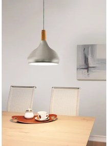 Eglo 901181 - Sospensione a cavo SABINAR 1xE27/60W/230V Ø28 cm argento