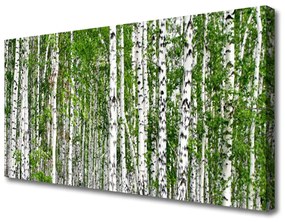 Quadro su tela Natura degli alberi della foresta di betulle 100x50 cm