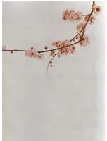 Coordonne Carta da parati panoramica Blossom Branch - Pink
