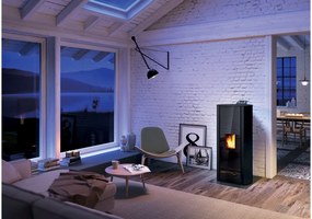 Palazzetti Cecile Lux 9 Stufa A Pellet Ermetica Ecofire Ad Aria 9kw In Acciaio Antracite