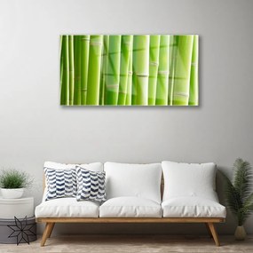 Quadro su vetro Pianta di bambù a stelo fiorito 100x50 cm