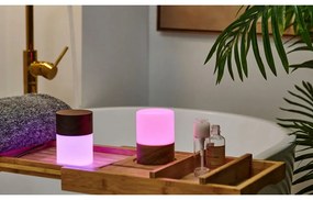 Lampada da tavolo dimmerabile in colore naturale con paralume in vetro (altezza 10,5 cm) Lemelia - Gingko