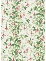 Cole & Son Carta da parati Fuchsia - Rose Pink and Soft Green on Parchment