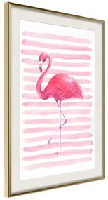 Poster  Pink Madness  Cornice Quadri Cornice d'oro con passe-partout, Larghezza x Altezza Home decor 20x30