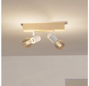 Eglo 99483 - Faretto TOWNSHEND 3 2xE27/60W/230V