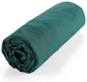 Lenzuolo elasticizzato verde in cotone biologico 180x200 cm Biolina - douceur d'intérieur