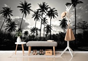Carta da parati – Palme da cocco sulla spiaggia in bianco e nero