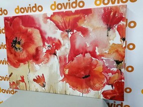 Stampa su tela – Papaveri rossi sul campo