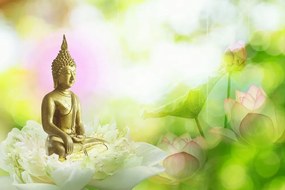 Carta da parati – Armonia del buddhismo