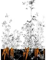 Edmond Petit Carta da parati Lièvres/Fenouil/Tournesol - Noir Orange - Tournesol Droit - Noir Orange Doré