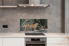 Rivestimento parete cucina Giungla della tigre 100x50 cm