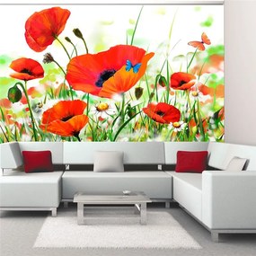 Fotomurale  Country poppies  Colore colorful, Dimensioni e Misure 250x193