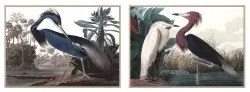 Quadro DKD Home Decor 123 x 4,5 x 83 cm 83 x 4,5 x 123 cm Uccello Orientale (2 Unità)