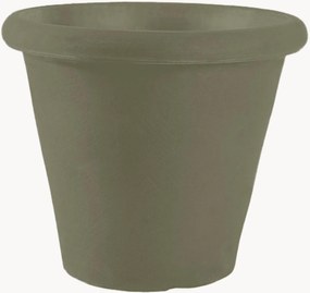 Portavaso Camelia