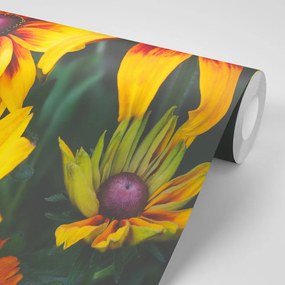Carta da parati – Fiori bicolori