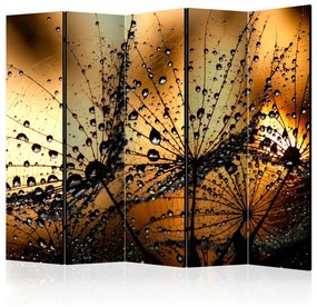 Paravento design Soffioni sotto la pioggia II - soffione con gocce su sfondo arancione
