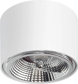 Applique da soffitto per lampade AR111 Fissa Bianca