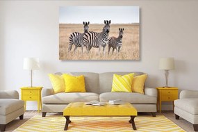 Stampa su tela – Tre zebre nella savana