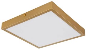 Globo 12382-15 - Plafoniera LED TIBEY LED/15W/230V 25x25 cm