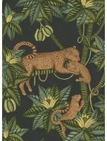 Cole & Son Carta da parati Satara - 119/3016