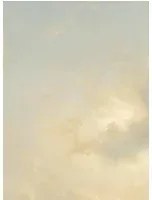 KEK Amsterdam Carta da parati panoramica Golden Age Clouds 1 - Multicolor - Breite 2.92m