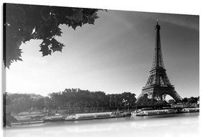 Quadro su tela – Parigi in autunno in bianco e nero