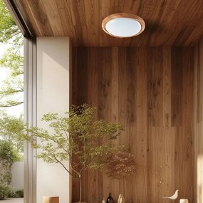 Plafoniera LED dimmerabile LED/60W/230V 3000-6500K + +TC