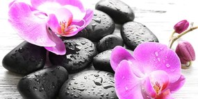 Quadro su tela – Magica armonia di pietre e orchidee