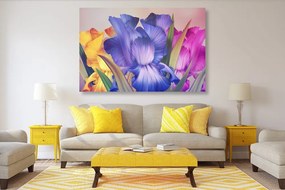 Quadro su tela – Fantasia floreale