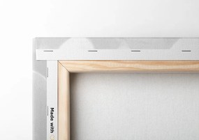 Stampa su tela – Angioletto in bianco e nero