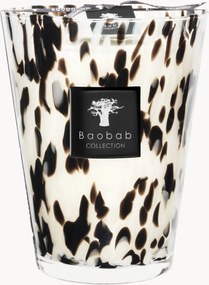 Candela profumata Black Pearls (pompelmo, zenzero, rosa)