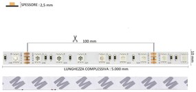 Striscia LED Professional 5050/60 - RGB - IP20 - 144W/m - 5m - 24V Colore RGB